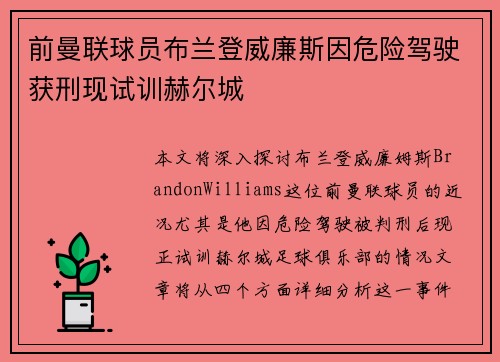 前曼联球员布兰登威廉斯因危险驾驶获刑现试训赫尔城