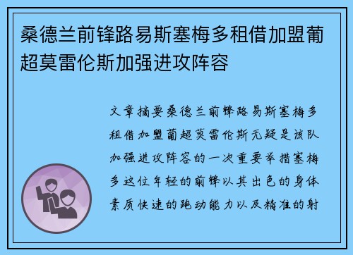 桑德兰前锋路易斯塞梅多租借加盟葡超莫雷伦斯加强进攻阵容